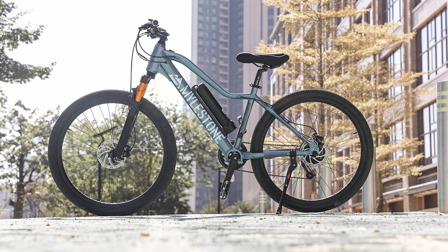 TS01 torque-sensing mountain e-bike