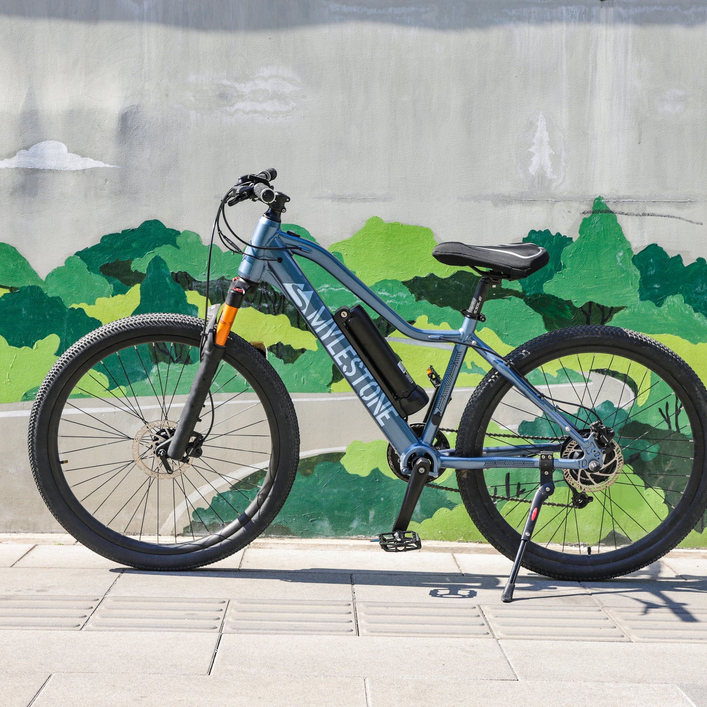 TS01 torque-sensing mountain e-bike